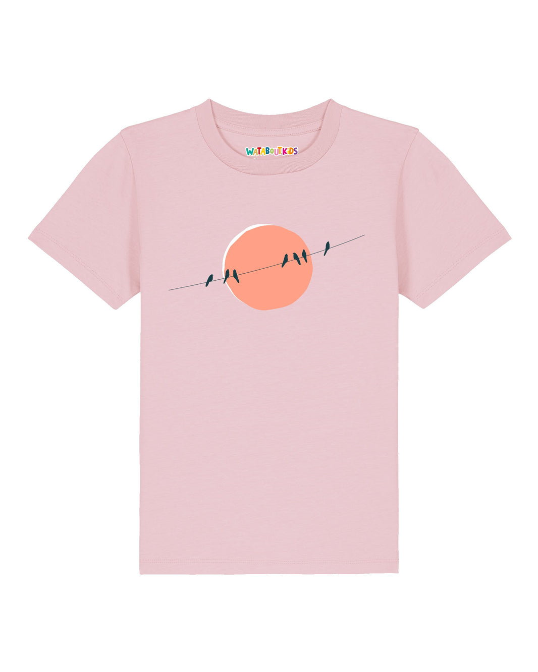 model_01;C005