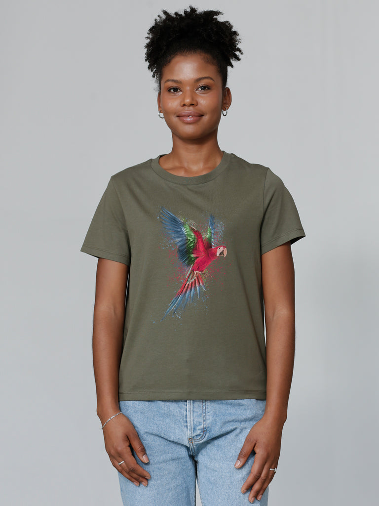 model_01;C223