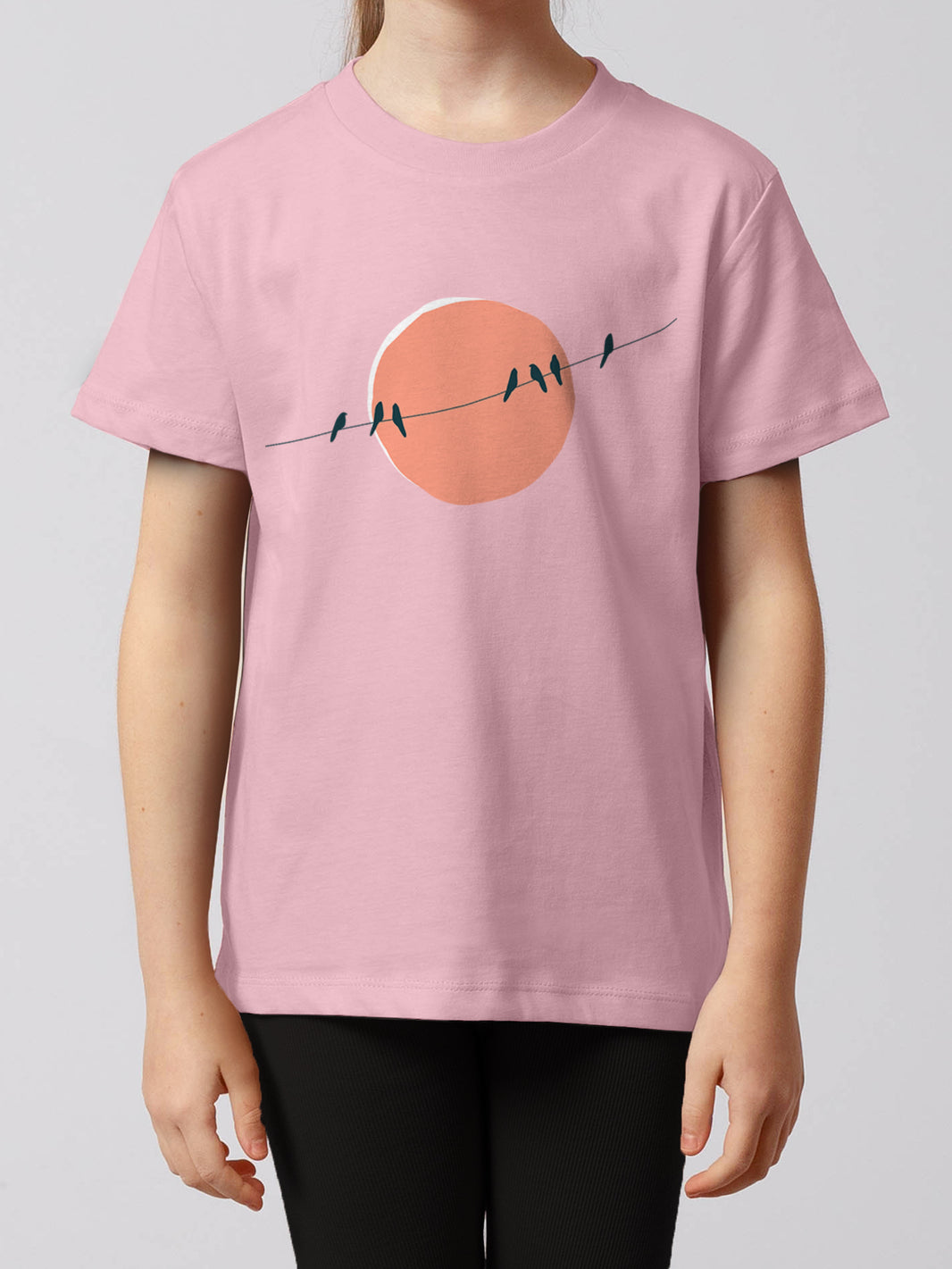 model_01;C005
