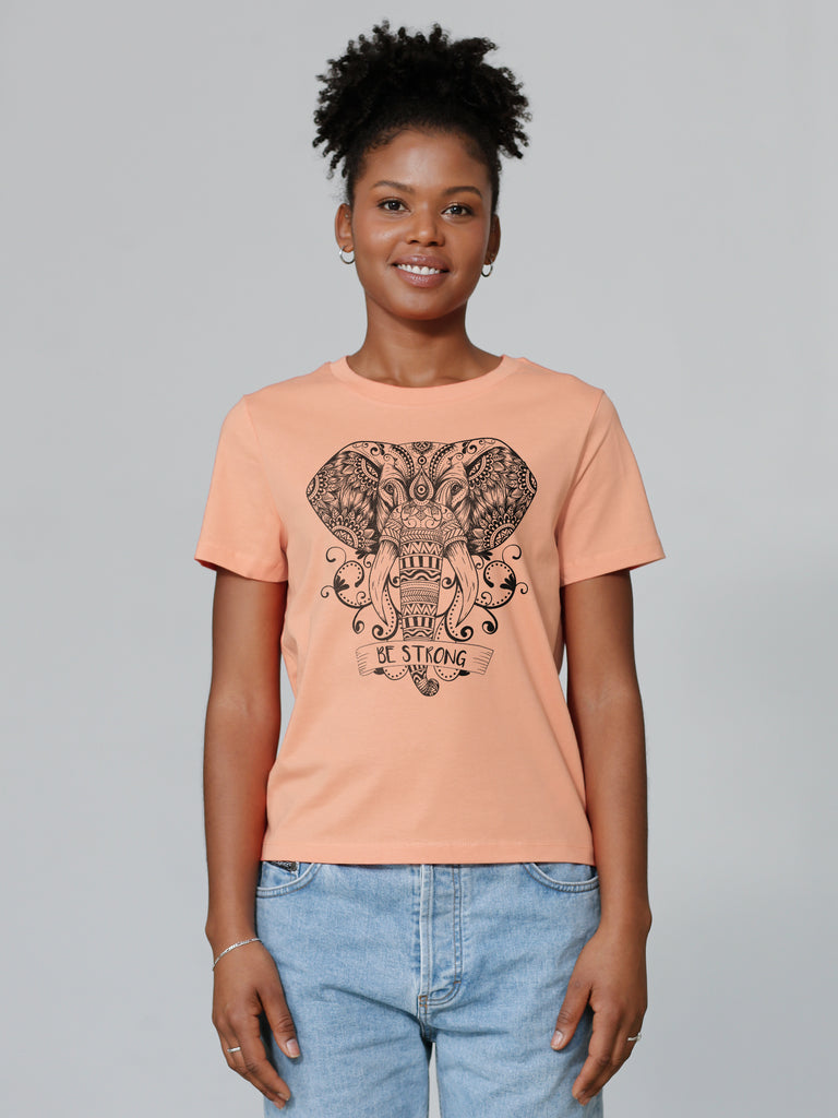 model_01;C101