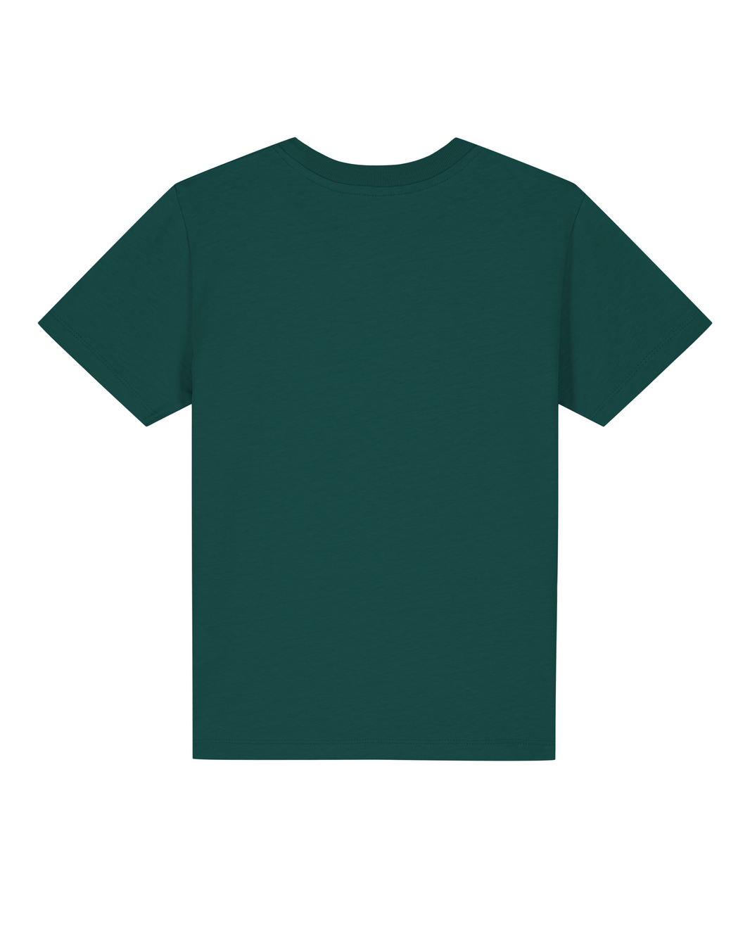 Dinosaurier 04 Großer Bruder | T-Shirt Kinder-back;C036