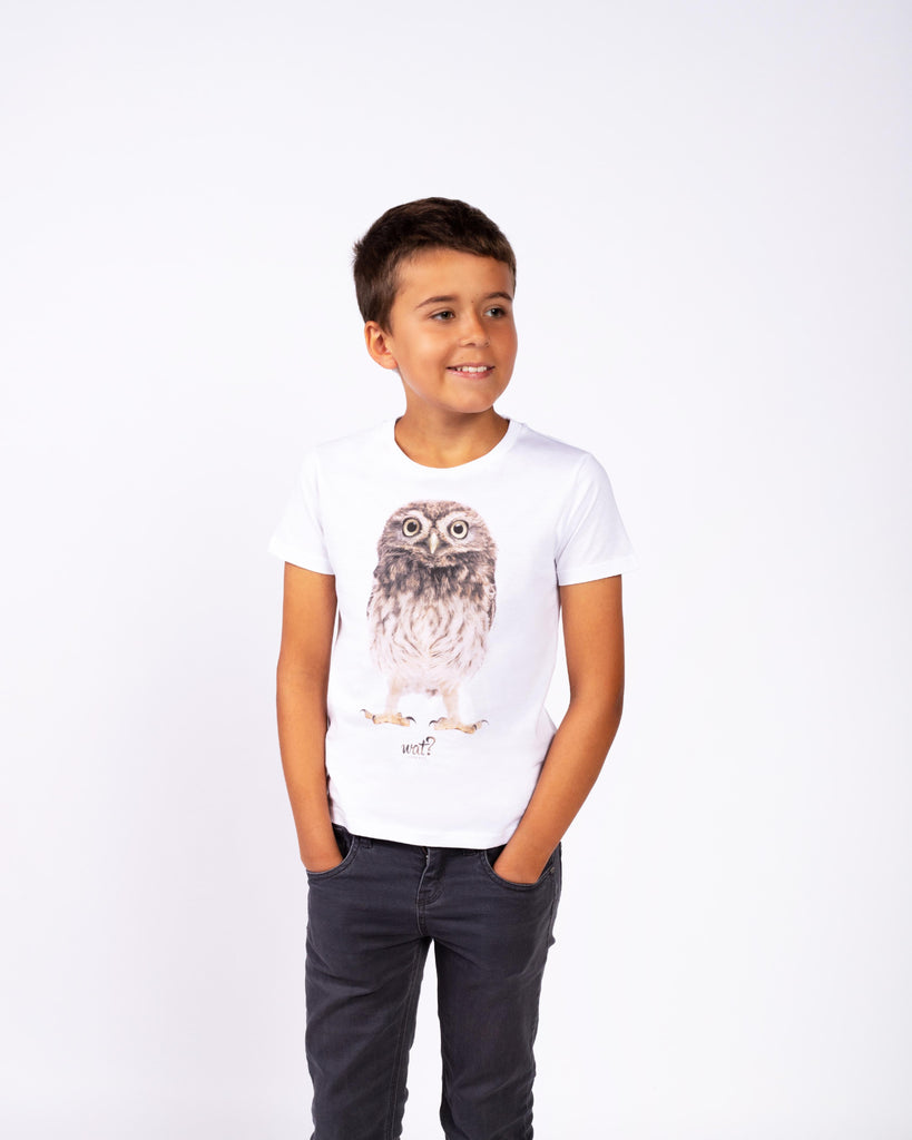 C001;White;model1