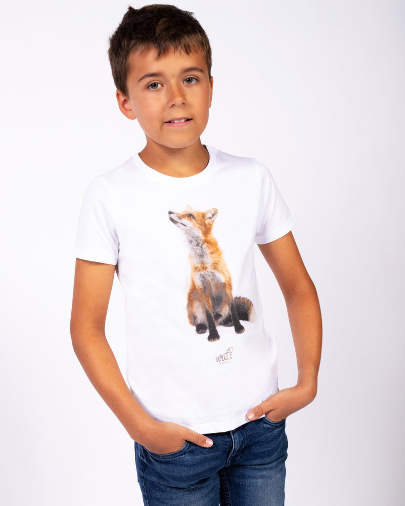 C001;White;model1