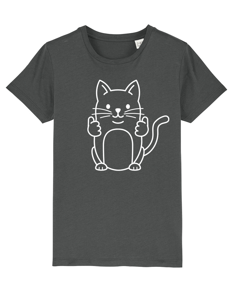 C253;Anthracite;front