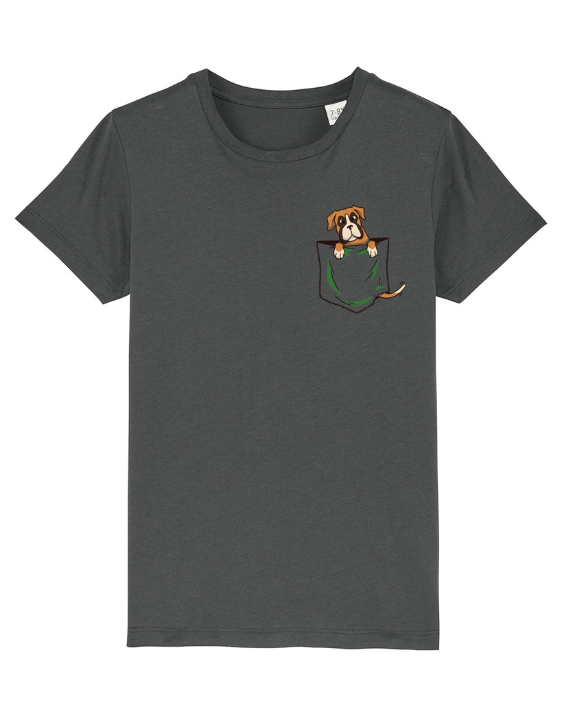 C253;Anthracite;front
