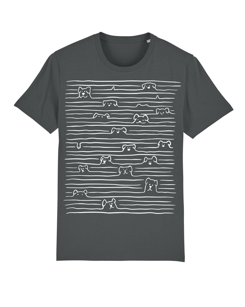 C253;Anthracite;front