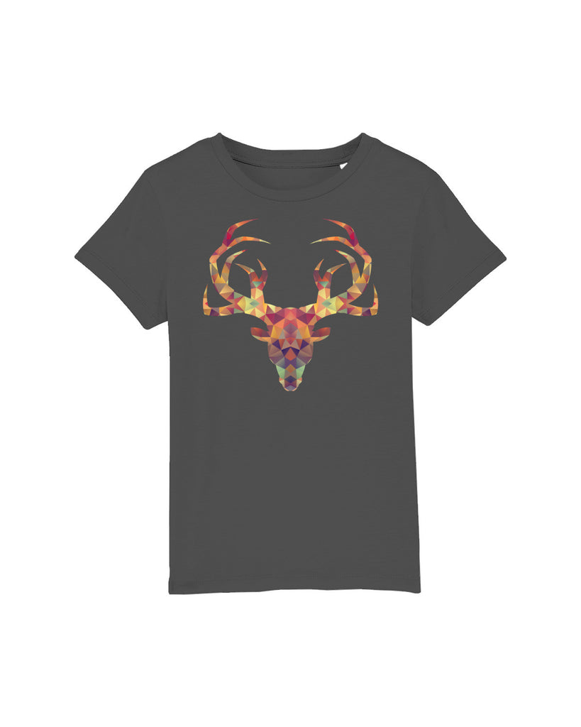C253;Anthracite;front