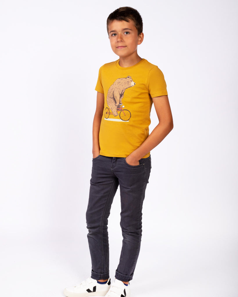 C048;Ochre;model2