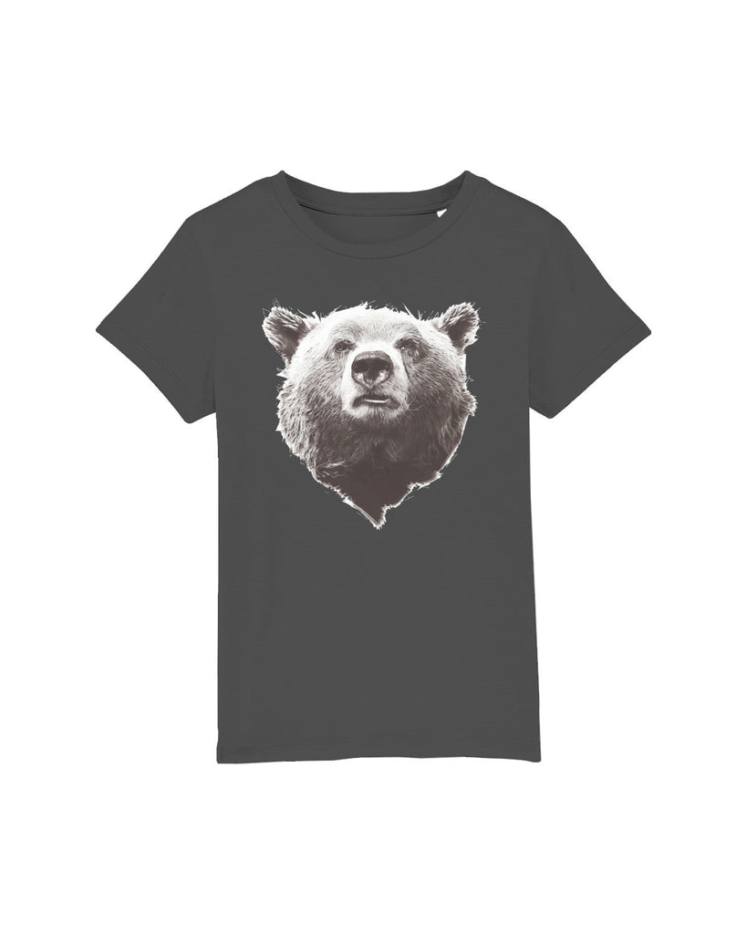 C253;Anthracite;front
