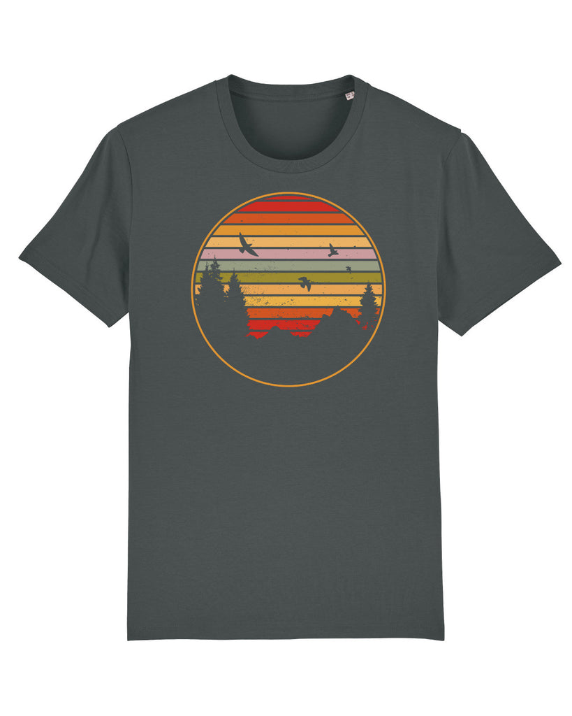 C253;Anthracite;front