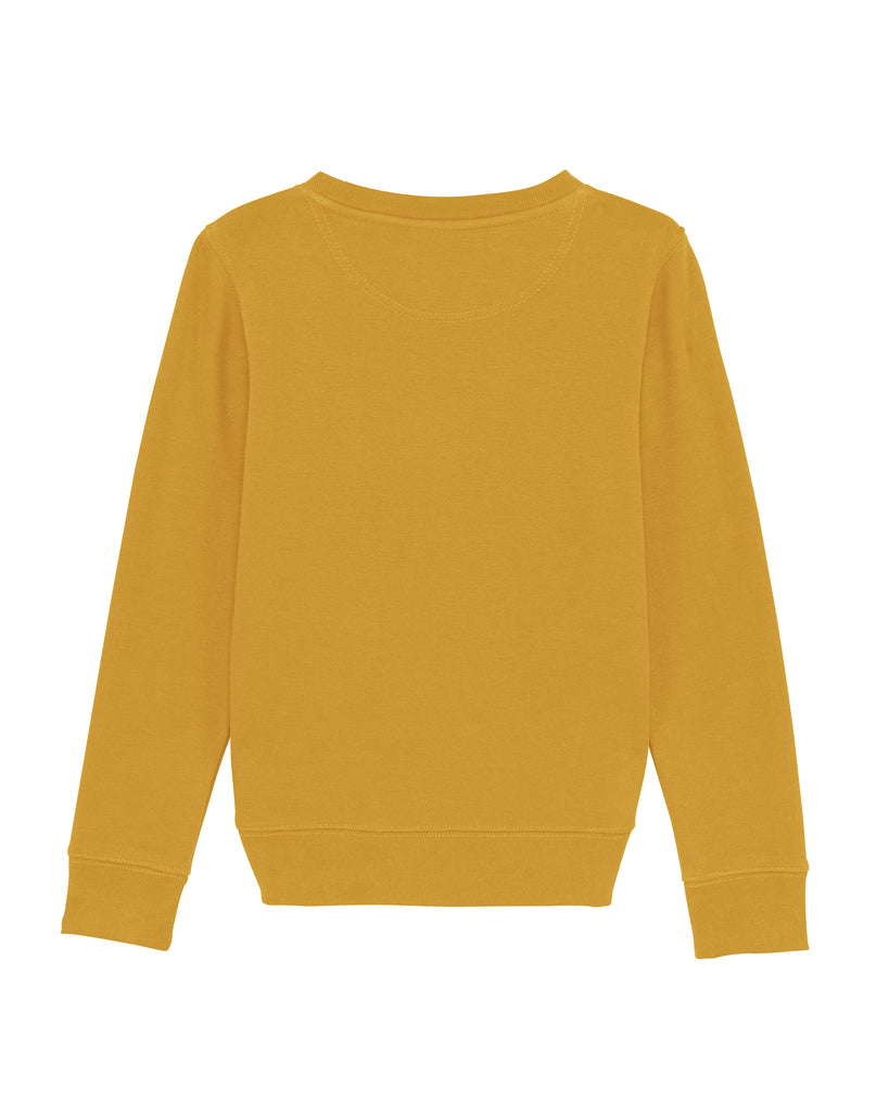 C048;Ochre;back