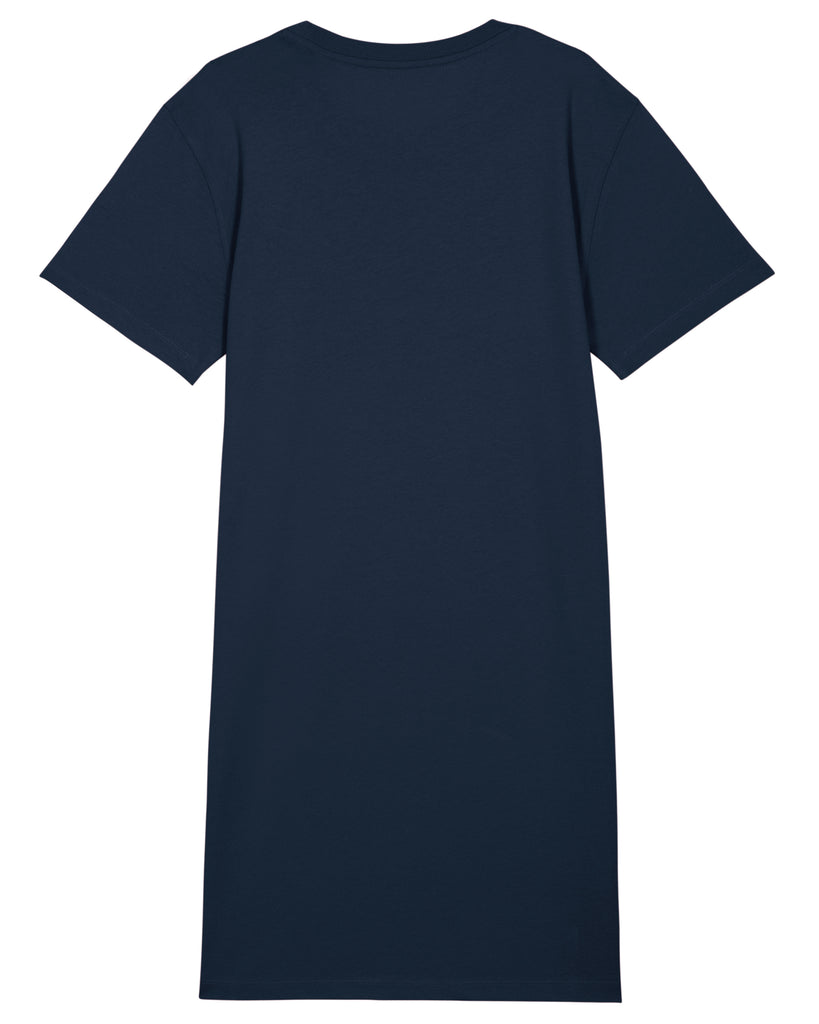 C727;French Navy;back