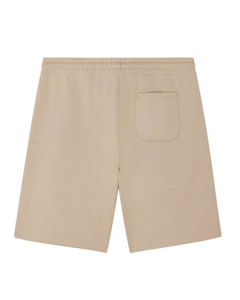 C028;Desert Dust;back