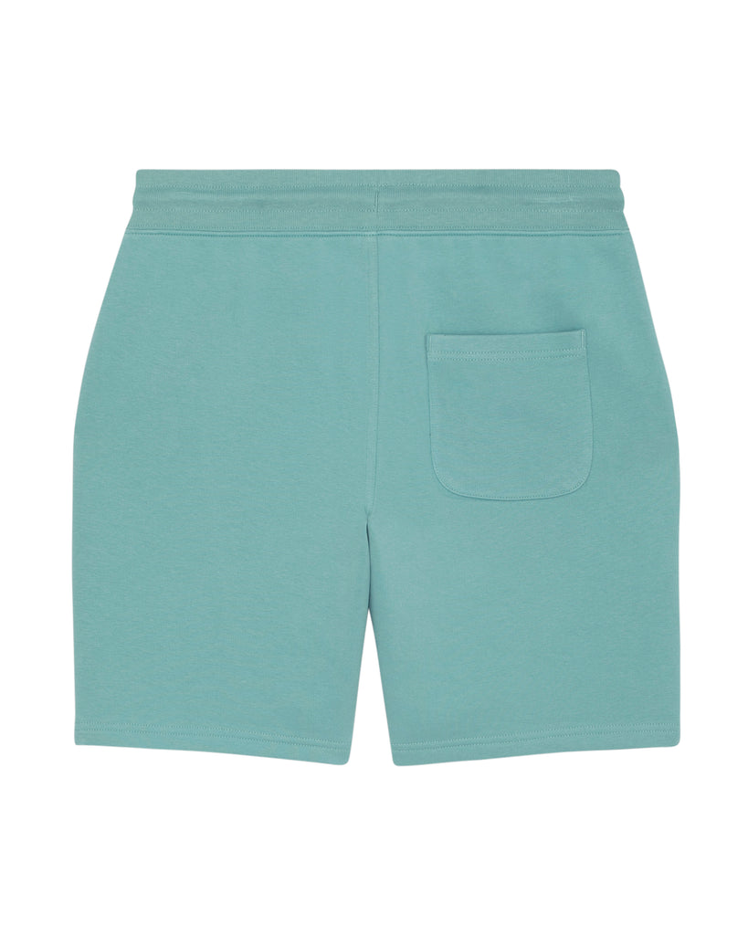 C060;Teal Monstera;back