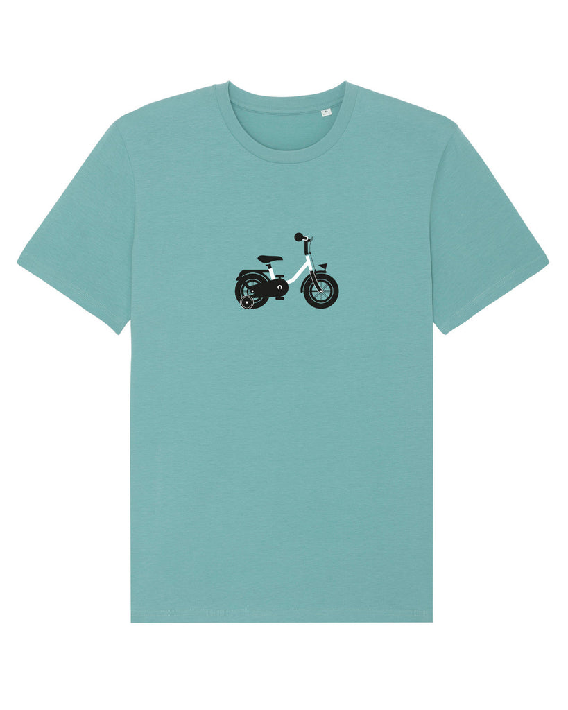 C060;Teal Monstera;front