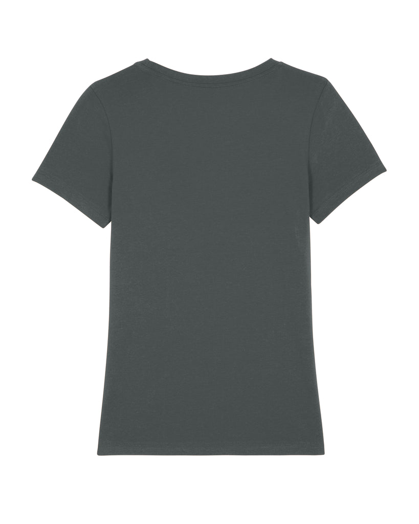 C253;Anthracite;back