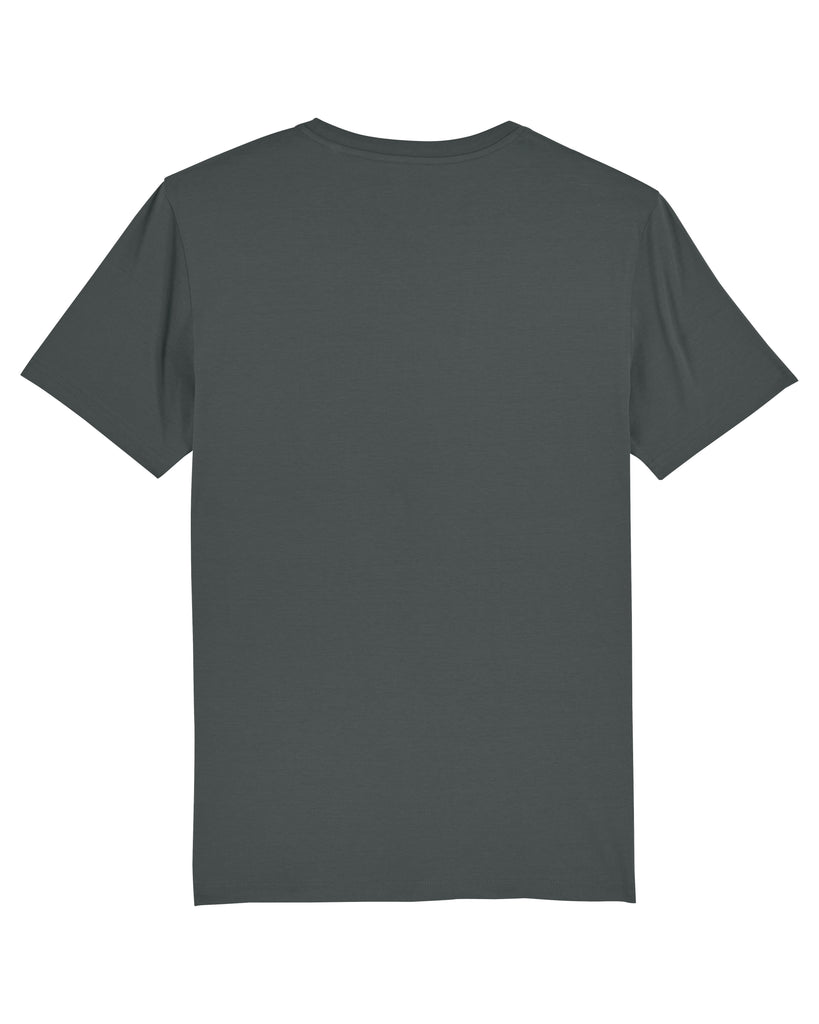 C253;Anthracite;back