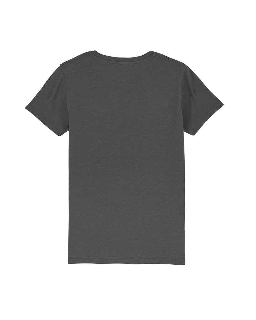 C253;Anthracite;back