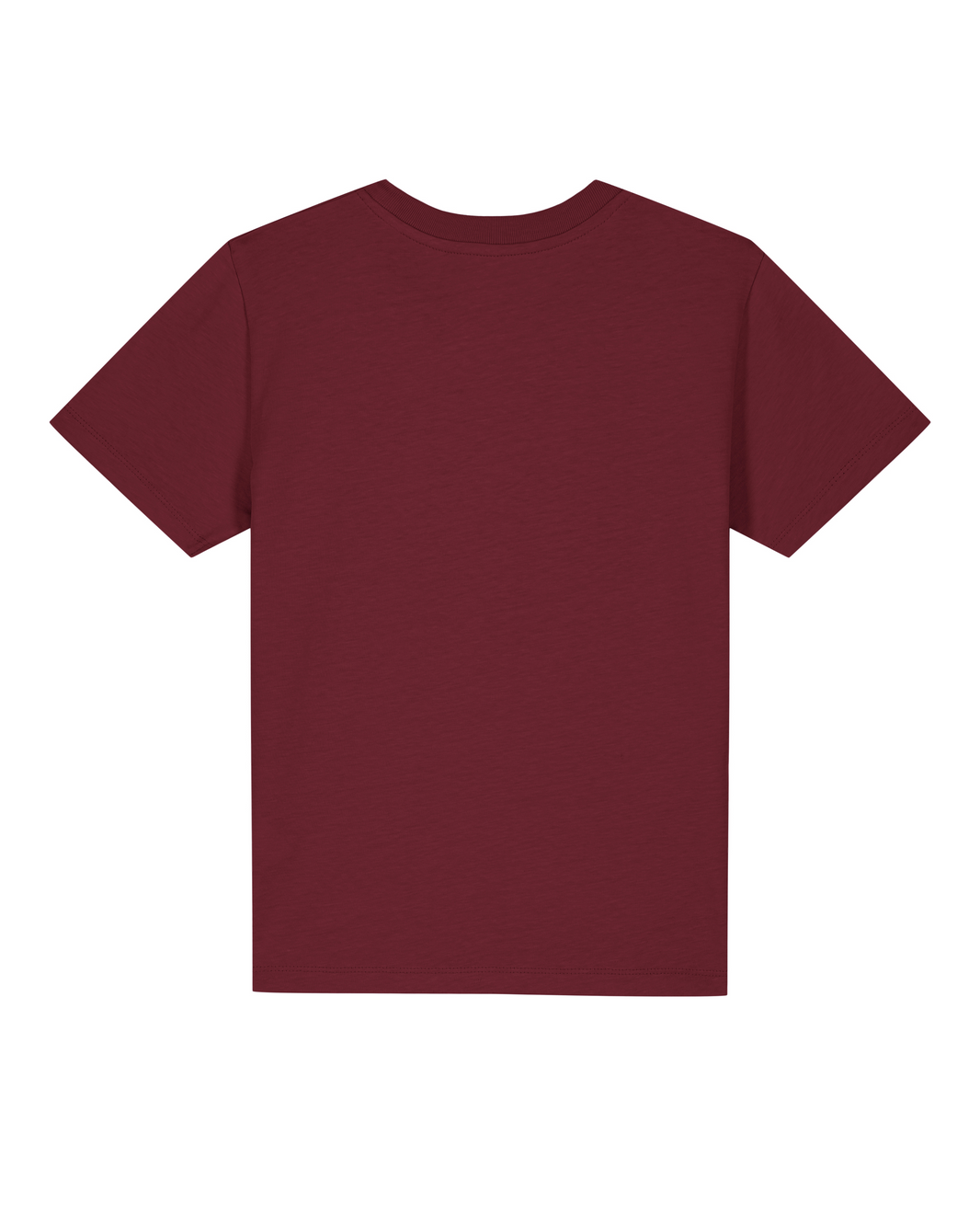 Dinosaurier 01 Große Schwester | T-Shirt Kinder-back;C244