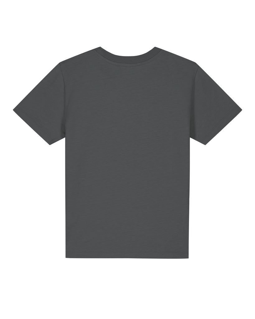 back;C253