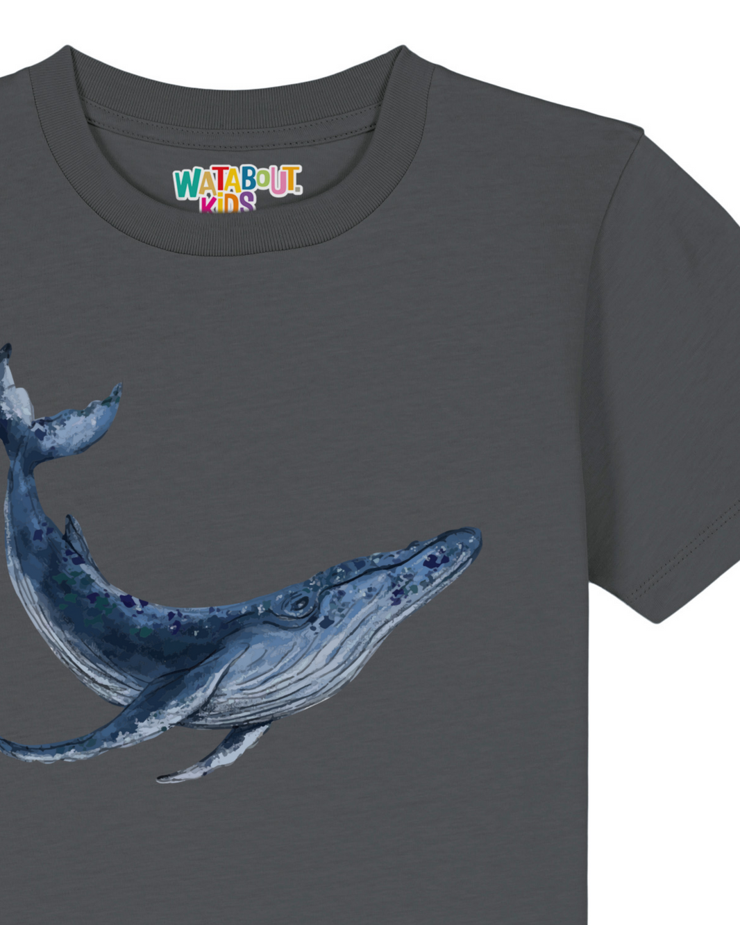 front;C253