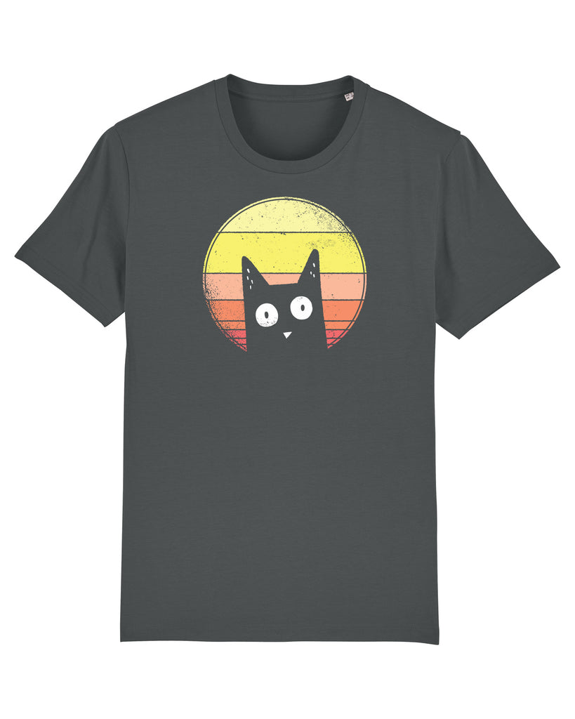 C253;Anthracite;front